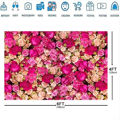 Ticuenicoa 6x6ft ružičasto crveno ruže cvijeće Fotografija pozadina zaljubljenih fotografija pozadina za