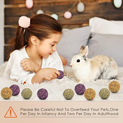 Bissap Bunny Chew Toys 15pcs, prirodno cvijeće Timothy sijeno kuglice zec žvakači liječnike za hrčak
