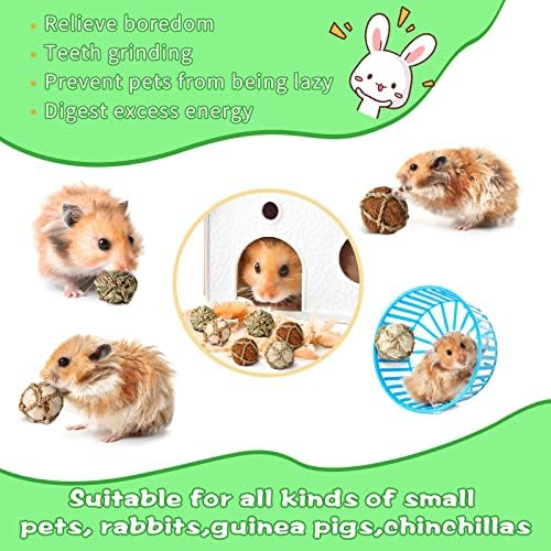 Sosacija 24 pakovanja igračke za zamorce male životinje za igru lopte žvakanje poslastice zečje igračke