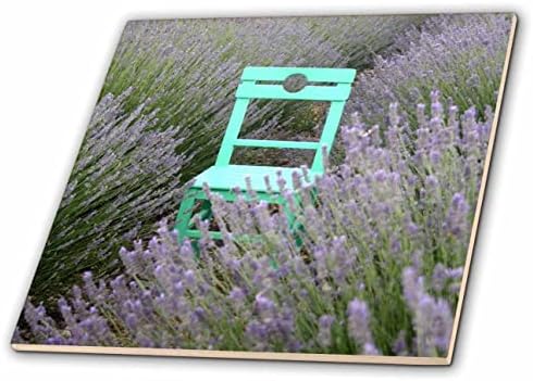 3drose zelena stolica u polju lavande Photo-Tiles