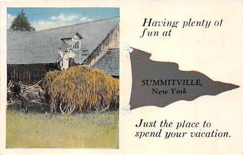 Summitville, New York Razglednica