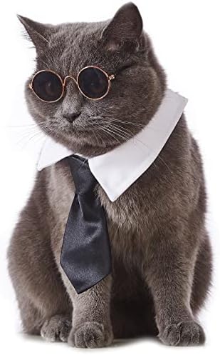 Impoosy Cat Bowtie kostim Kućni ljubimci Podesiva kravata luka sa sunčanim naočalama Formalni ovratnik za