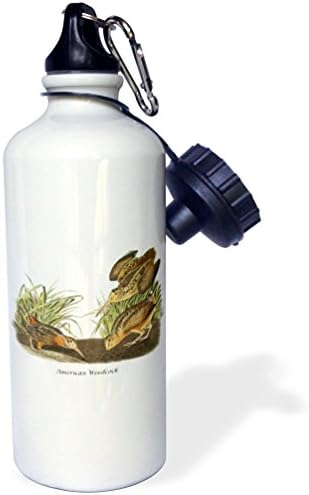 3drose Američki Woodcock by John James Audubon Sportska boca vode, 21 oz, bijela