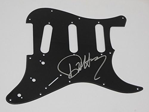 Blondie Zovi Me Deborah Debbie Harry Potpisao Autogramom Fender Strat Električna Gitara Pickguard Loa
