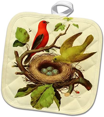 3Droza vintage ptice ispis šarze na tanageru ptica ilustracija gnijezdo jaja. - Pothilders