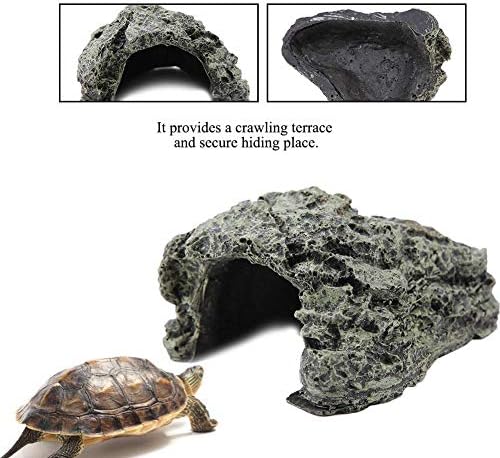 Riba kornjača krije pećinsko Kameno pećinsko sklonište krije gmizavac Basking Sakrij za Reptile kornjača