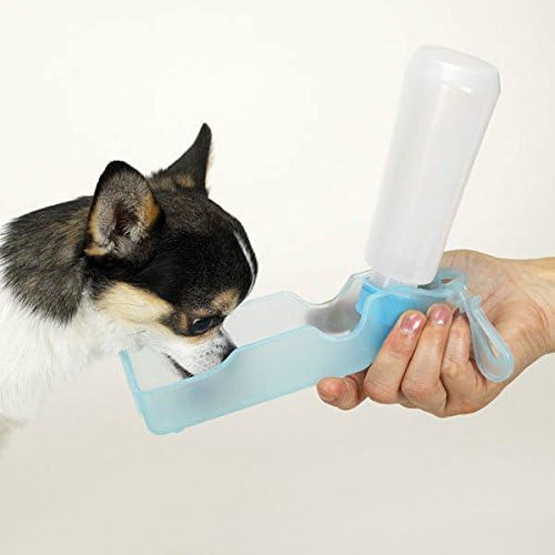 Prijenosni boca za vodu za pse putovanje kampiranje istraživanje 9 oz Mini Handi piće