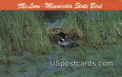 Misc, Minnesota razglednica