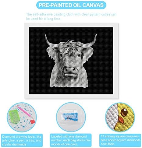 Funny Highland Cow Diamond painting Kits 5D DIY Full Drill Rhinestone Arts zidni dekor za odrasle 16 x20