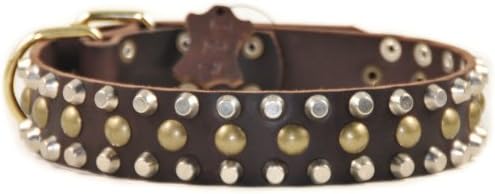 Dean i Tyler ogrlica za pse - čvrsti mesingani hardver - smeđa - veličina 24 x 1 1/2 širina. Odgovara veličina