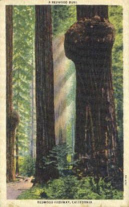 Autoput Redwood, Kalifornijska Razglednica