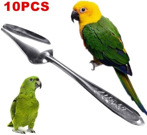 10 kom kašike za hranilicu za ptice mleko od nerđajućeg čelika kašike za hranjenje papagaja kašike za ručnu